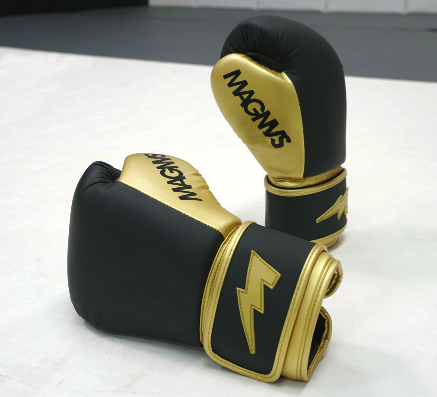 16oz Boxing Gloves